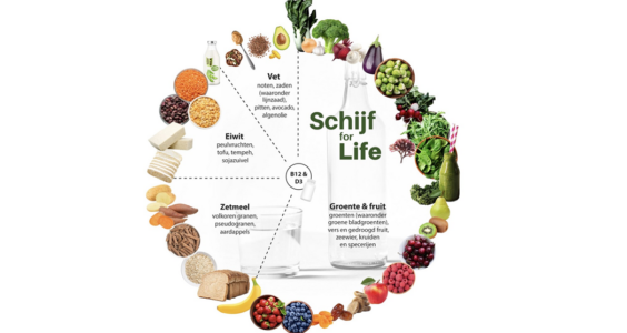 Afbeelding voor Achtergrond van de Schijf for Life