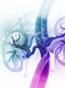 Afbeelding voor Bio-impedantiemethodes na niertransplantatie