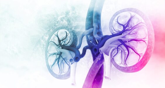 Afbeelding voor Bio-impedantiemethodes na niertransplantatie