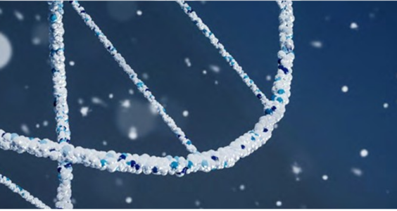 Afbeelding voor LCT-BEPERKT EN MCT-VERRIJKT BIJ LIPOPROTEÏNELIPASE (LPL)-DEFICIËNTIE