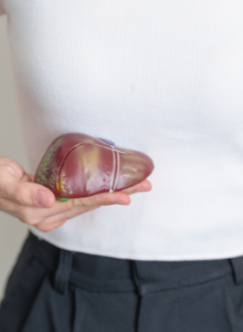 Afbeelding voor Zorgwekkende stijging levertransplantaties door leververvetting