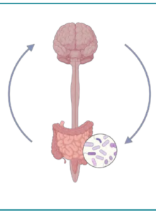 Afbeelding voor Microbioom, voeding en mentale gezondheid