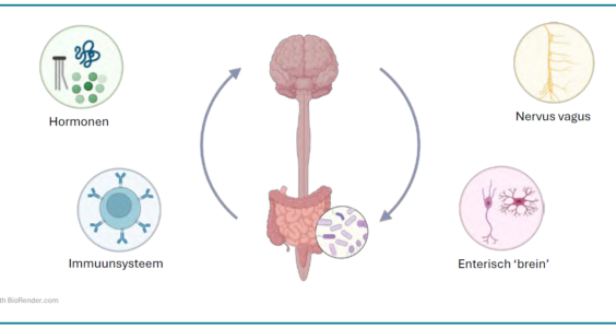 Afbeelding voor Microbioom, voeding en mentale gezondheid